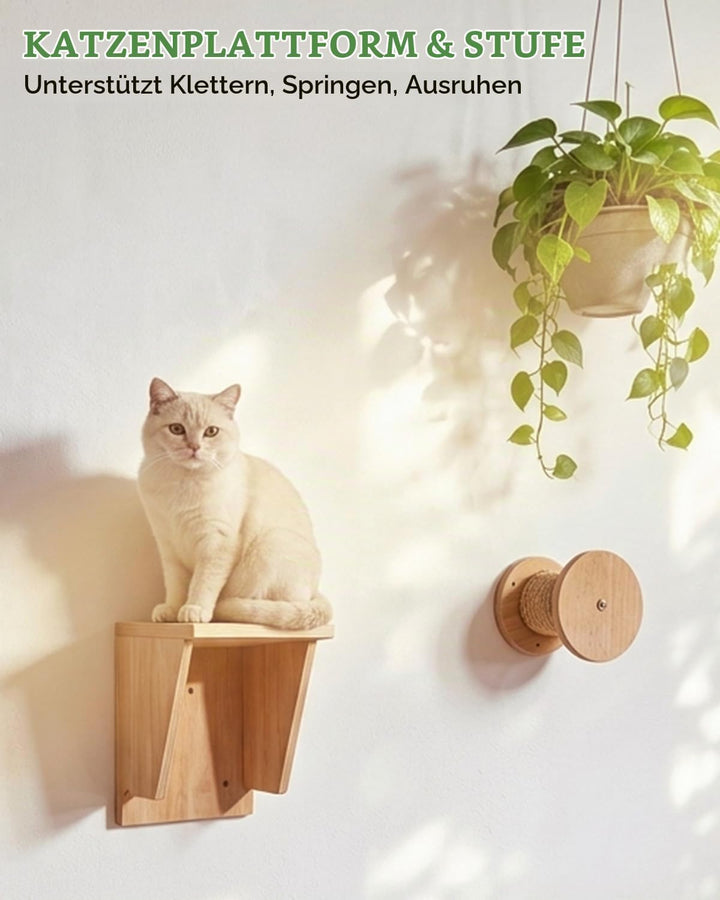 Kletterwand Katzen, 5-teilig Katzen Kletterwand mit Katzenhäusern bis 15 kg 5PCS, 5PCS