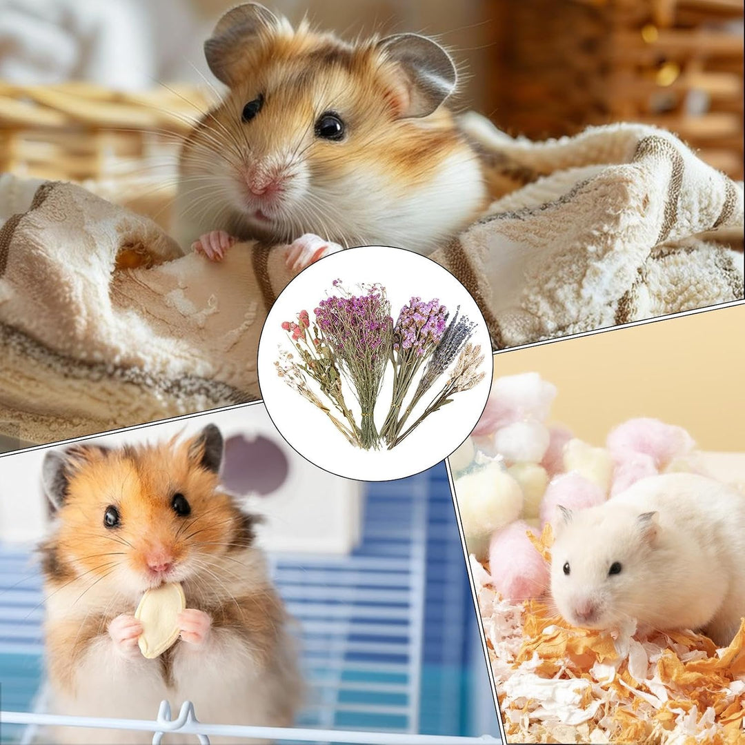 Hamster Einstreu Blumen,Hamster Heublumen Einstreu,25cm Trockenblumen Für Hamster,Blumen Hamster Ein