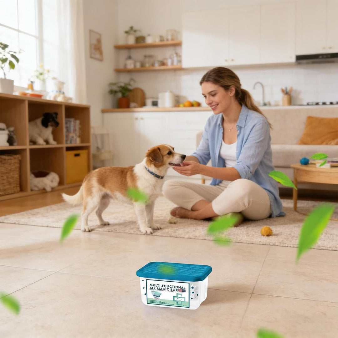 2 Stück Magic Box Zur Staubentfernung In Innenräumen, 350ml Indoor Luftreinigung Staubs Entfernung M