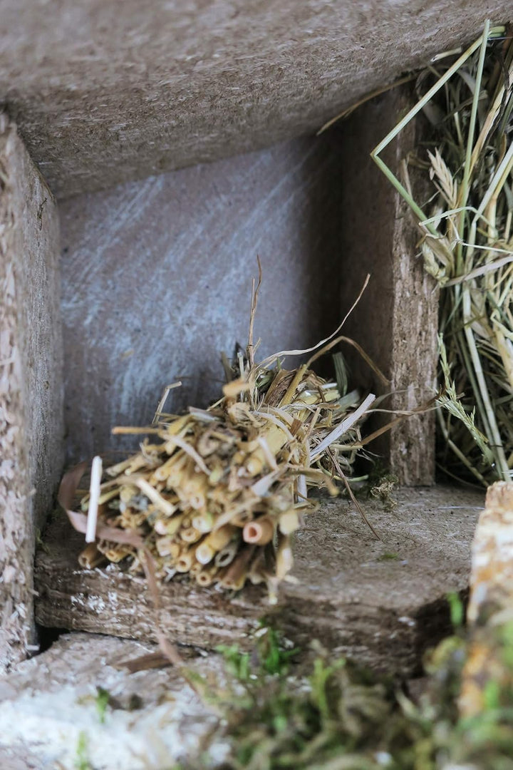 BERTONI Weihnachtskrippe aus Kork/Moos aus Holz, Mehrfarbig, Einheitsgrösse