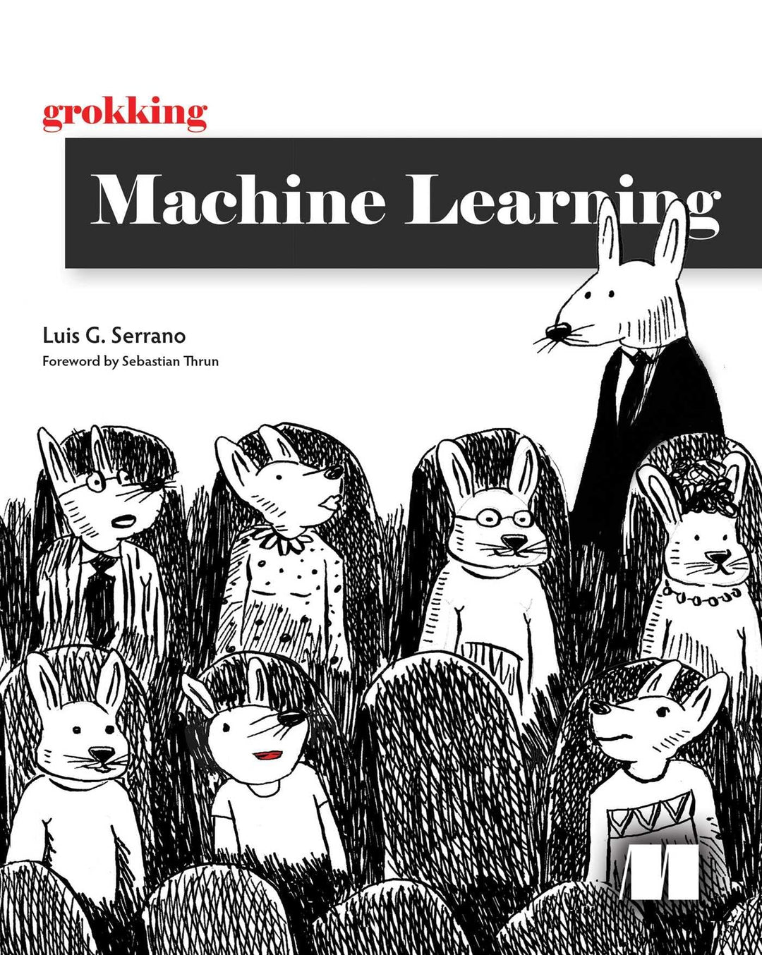 Grokking Machine Learning, Taschenbuch