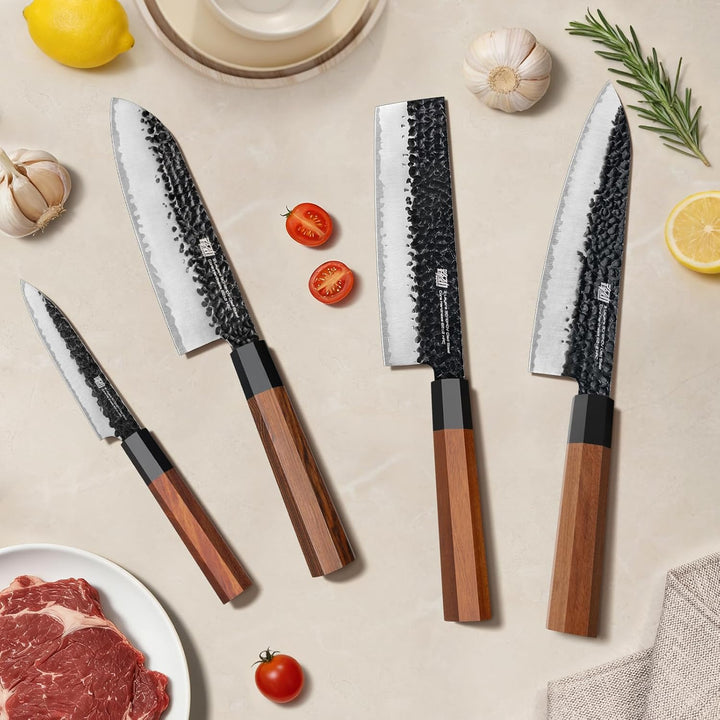 FINDKING Dynasty Serie 4PCS Küchenmesserset, Professionelles japanisches Kochmesserset, Klinge aus 9